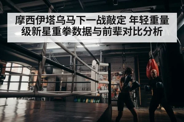 boxer training gym
