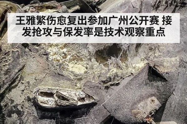 王雅繁伤愈复出参加广州公开赛 接发抢攻与保发率是技术观察重点